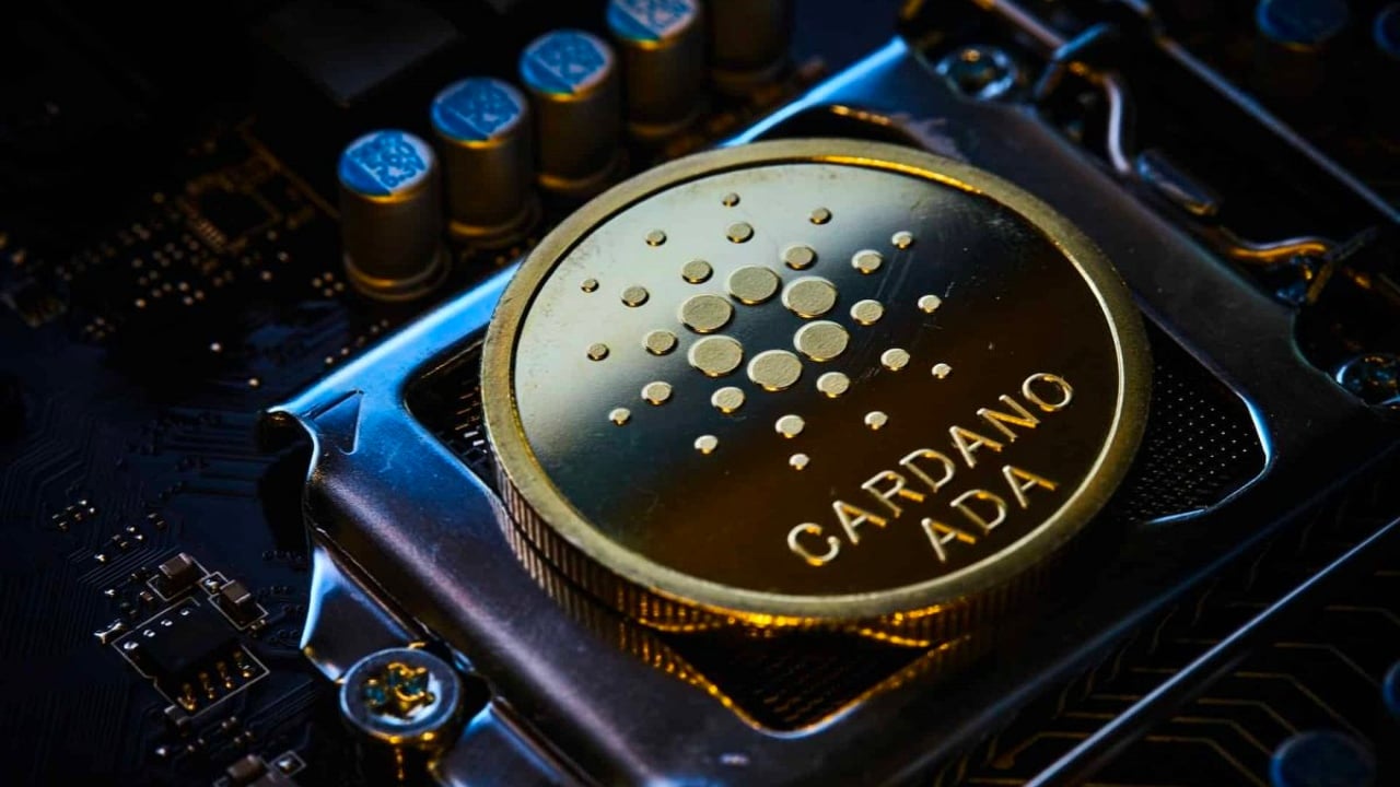 Cardano Stablecoin’i Djed, Çok Teminatlı Geliyor