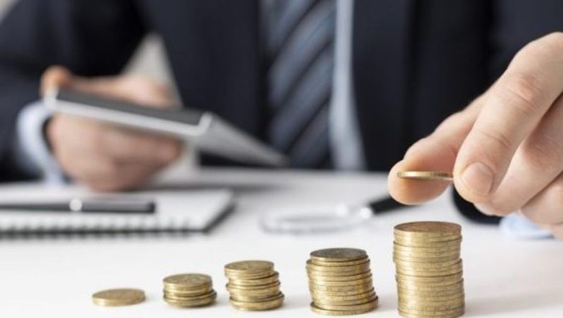 BES’te devlet katkısı portföyüne pay senedi değişikliği