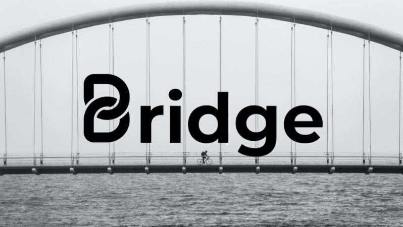 Bridge Oracle (BRG) Nedir?