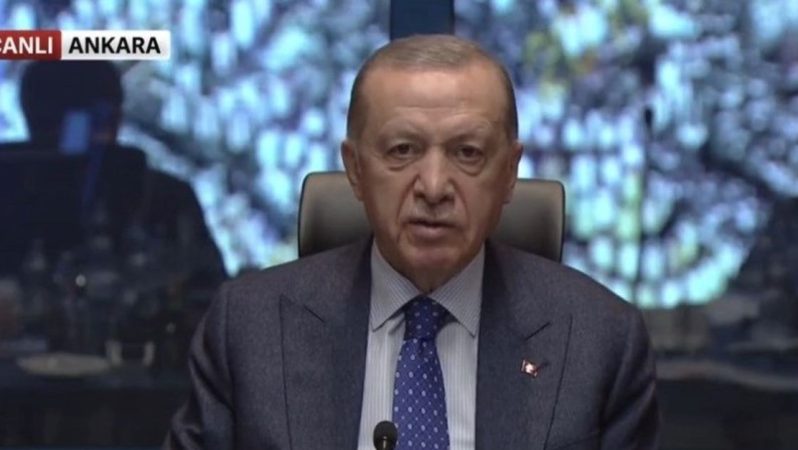 Erdoğan: Zelzele bölgesinde fevkalâde hal ilan etme kararı aldık