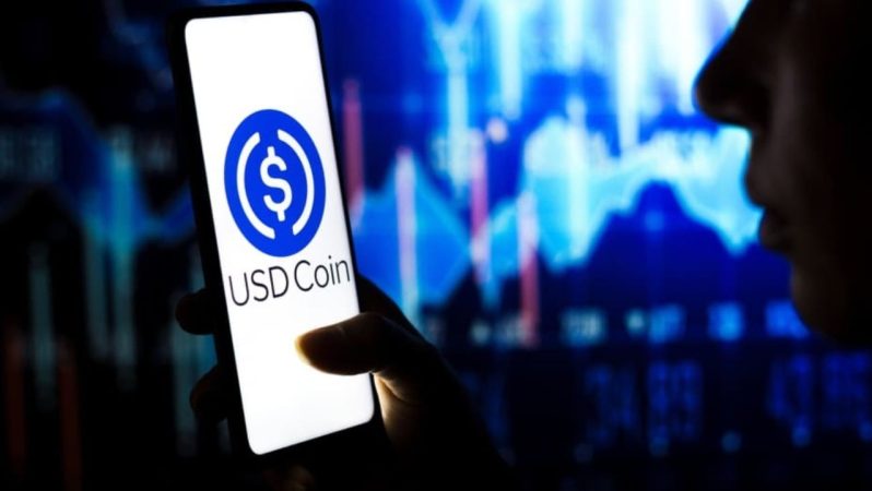 314 Milyon USDC, Boş Bir Adrese Gönderildi1