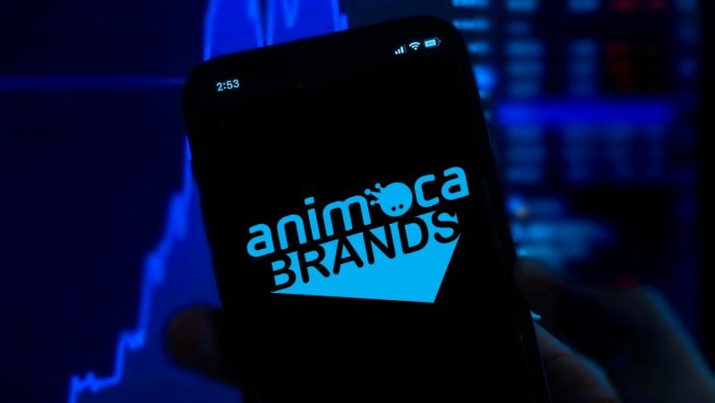 Animoca Brands, Metaverse Fonu Maksadını Düşürdü 