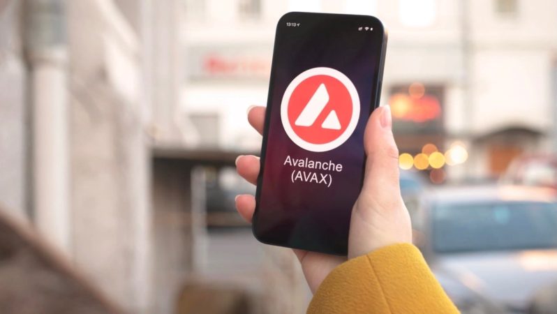 Avalanche, 30 Milyon Oyuncuya Kapılarını Açıyor