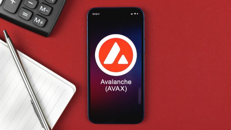 Avalanche, Dijital Sanatkarlar için Atakta Bulunuyor
