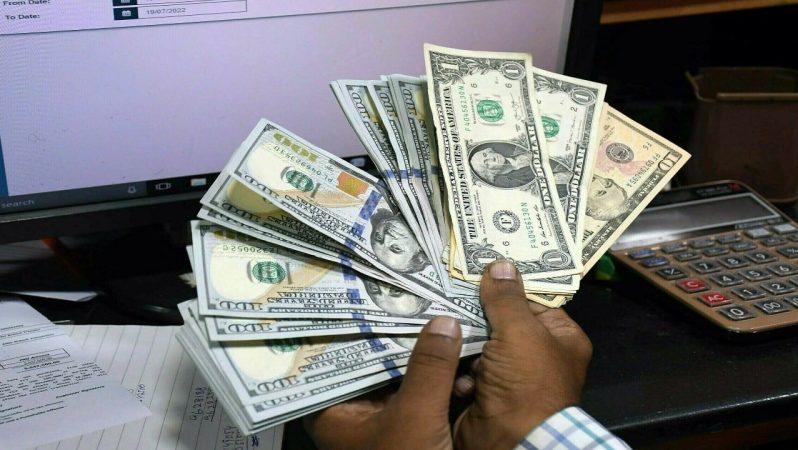 Borçlular Stablecoin’lerinden 100 Milyon Dolar Tasarruf Etti