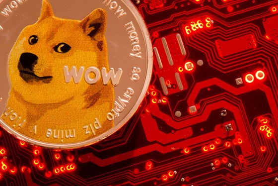 DOGE fiyatı kritik takviye noktasına yaklaşıyor