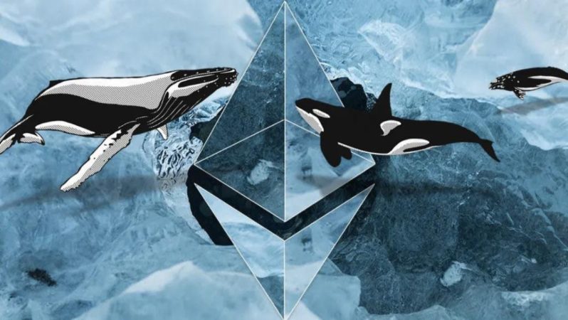 Ethereum (ETH) Balinası Harekete Geçti
