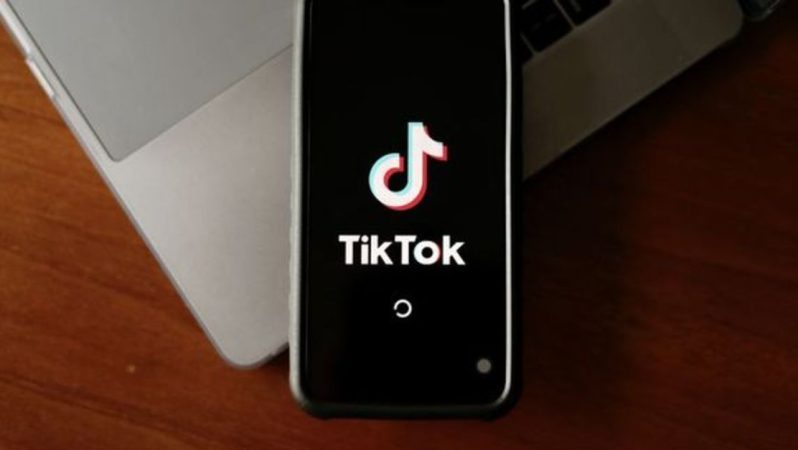 Hollanda’dan TikTok atağı