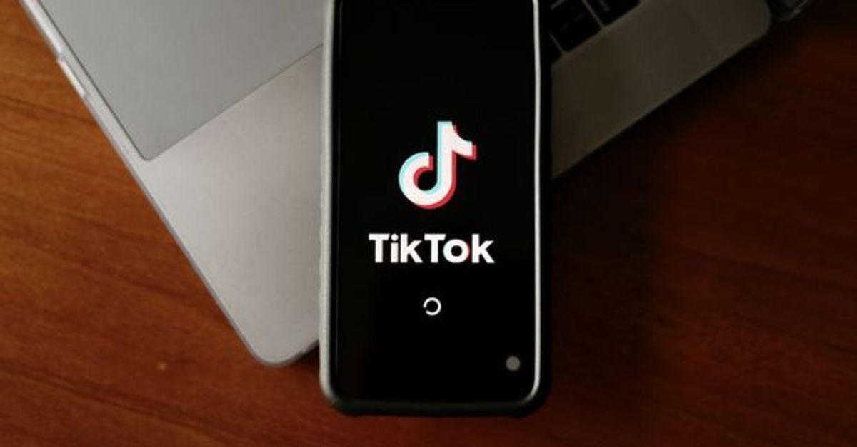 Hollanda’dan TikTok atağı