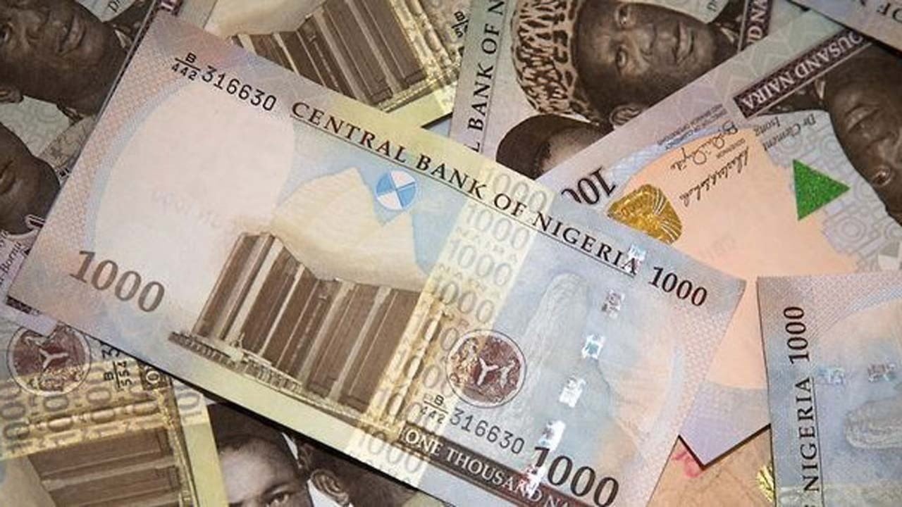 Naira’nın Tekrar Tasarlanması, Mahkeme Tarafından Reddedildi 
