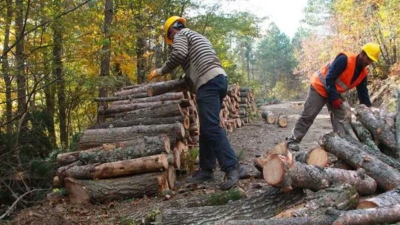 Süreksiz personel Meclis tatile girmeden takım hakkı istiyor