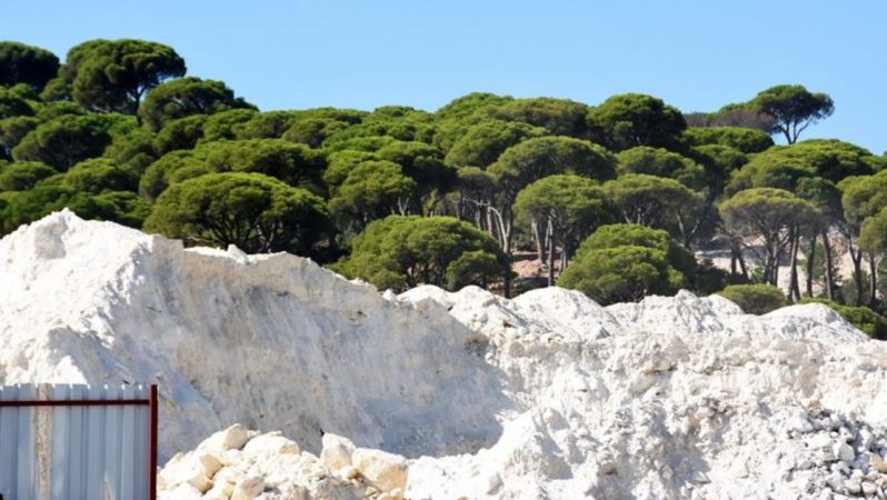 Tarım ve orman alanları düzenlemesi Tarım Kurulu’ndan geçti
