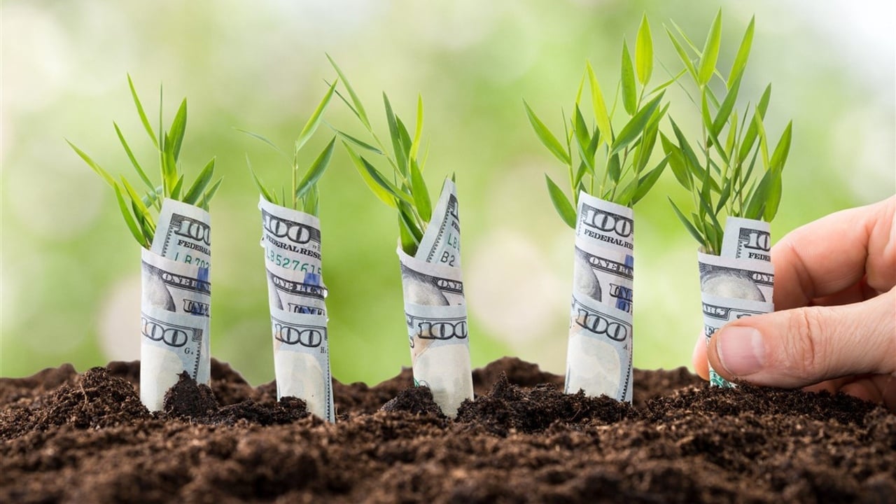 Web3 Altyapı Startup’ı 5,3 Milyon Dolar Fon Topladı