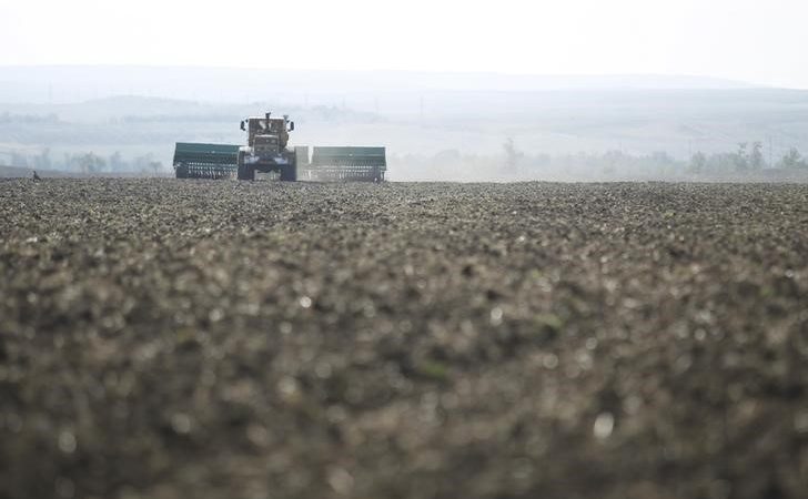 Yayla Agro arpa ihalesine katıldı