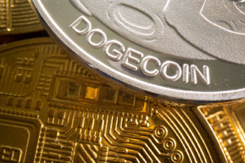 Dogecoin’in fiyat artışı, balinaları harekete geçirdi