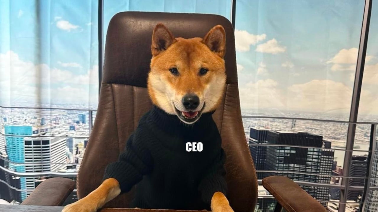 Elon Musk Neyi Amaçlıyor? DOGE ve Twitter Argümanları