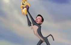 Elon Musk’ın Dogecoin Cüzdanında Dair Tezler Yeniden Gündemde