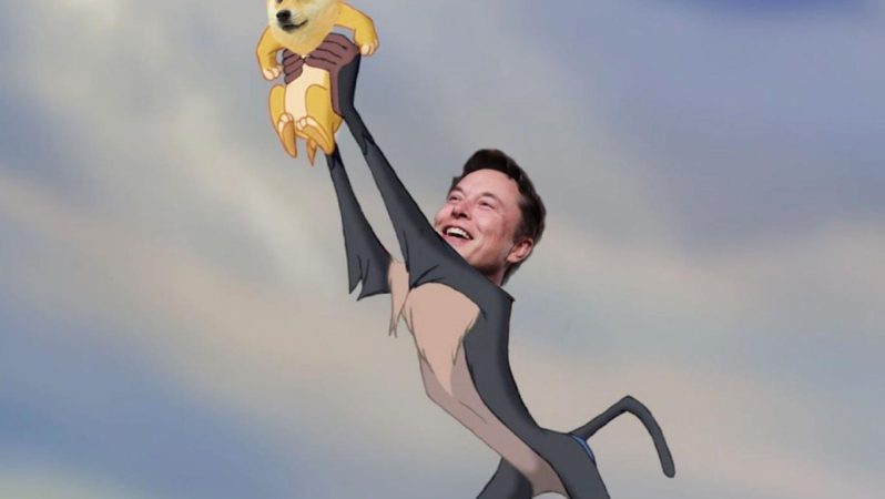Elon Musk’ın Dogecoin Cüzdanında Dair Tezler Yeniden Gündemde