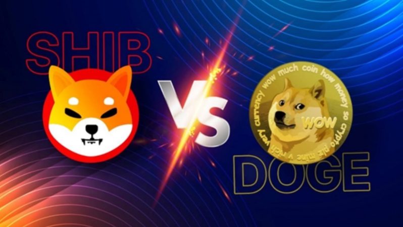 Shiba Inu’da Hareketlilik: Dogecoin’e Baş Tutuyor!